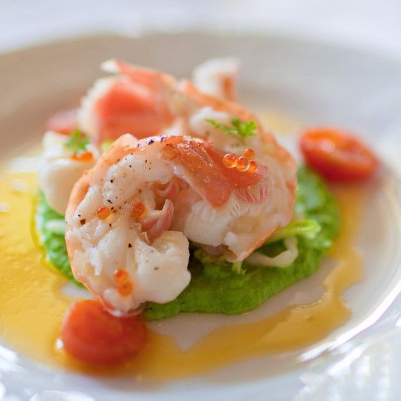 Čekají Vás ty nejčerstvější gurmanské zážitky