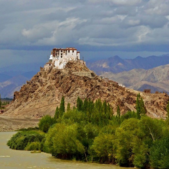 Ladakh je tibečtější než samotný Tibet.