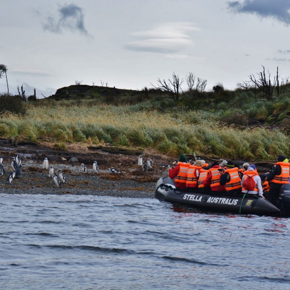 Čeká nás několik vylodění