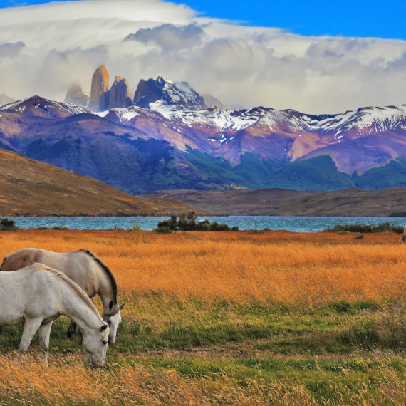Čeká nás unikátní cesta