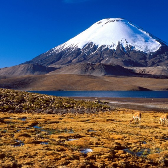 Altiplano v Bolívii 