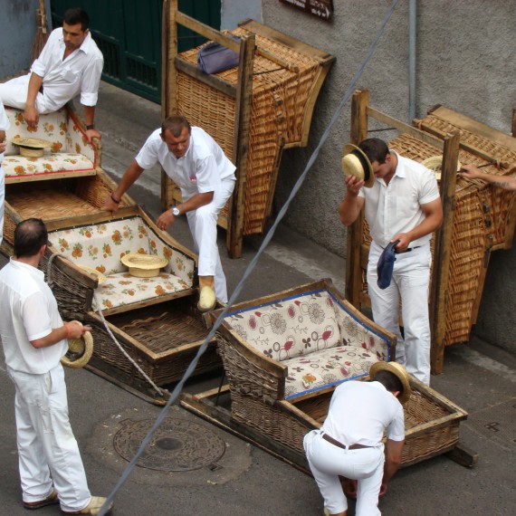Ostrov květů na saních, nevadí, že sněžit nebude