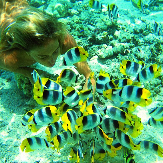 Fascinující podmořský život 