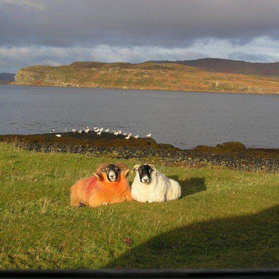 Přejezd skotskou vysočinou 