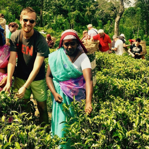 Přijeďte si nasbírat svůj vlastní čaj