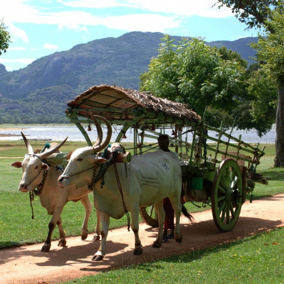 Svezeme se i tradičním dopravním prostředkem