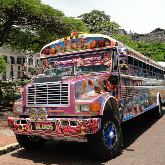 Projedete se typickými autobusy?