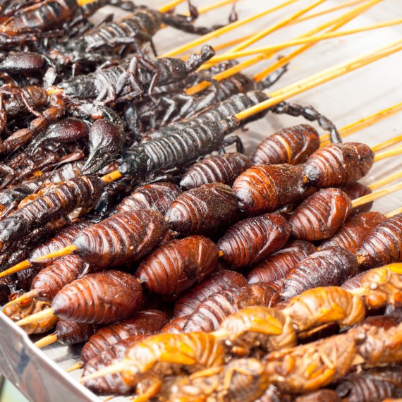 Street food na promenádě Wangfujing
