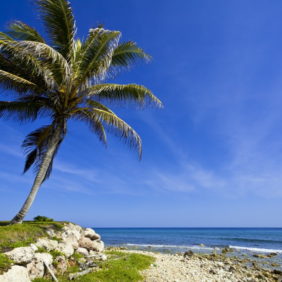 Bělostné pláže a top služby