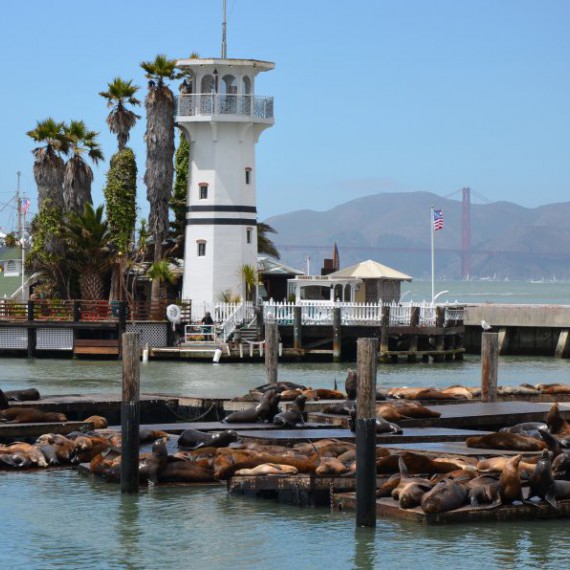 Nejznámější molo v San Franciscu