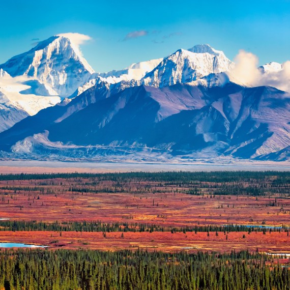 NP Denali, Aljaška 