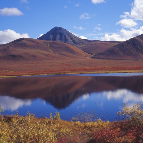 Co takhle koupačka v ledovém jezeře?