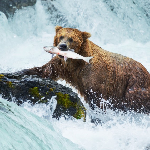 Zažijete doslova pravou Aljašku