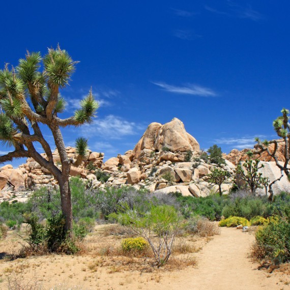 Za krásnou přírodou do USA