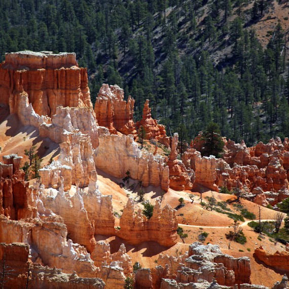 Chodník Navajů v Bryce Canyon