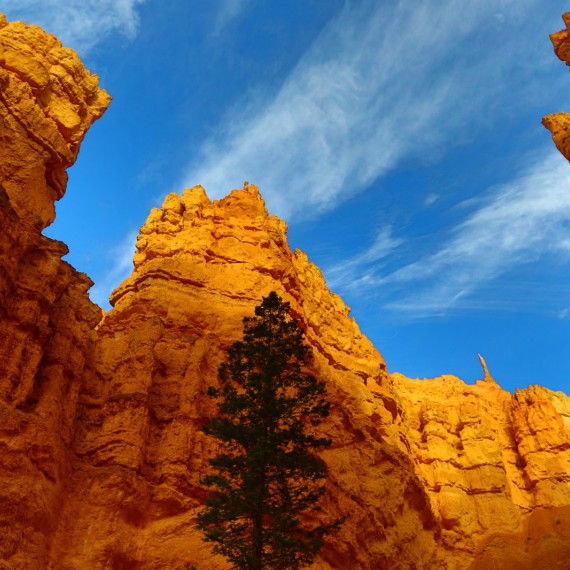 Jedinečné skalní útvary v Bryce