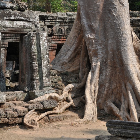 Starobylý Angkor dýchá historií