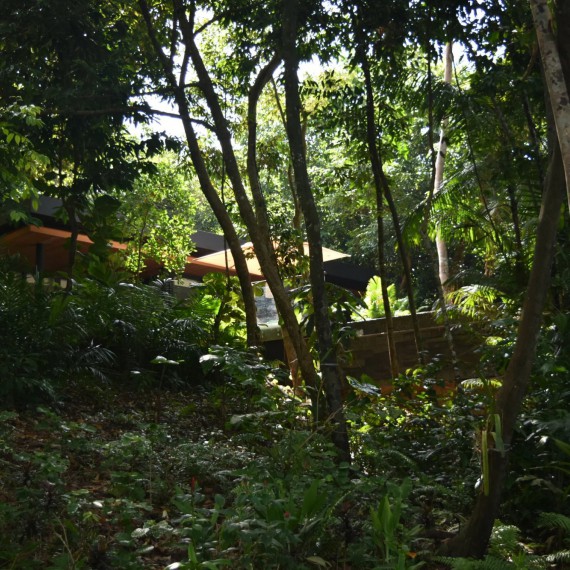 Privátní vila s bazénem ukrytá v džungli 