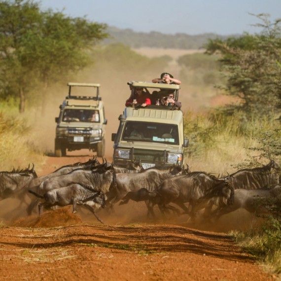 Zvířatům budete opravdu na blízku