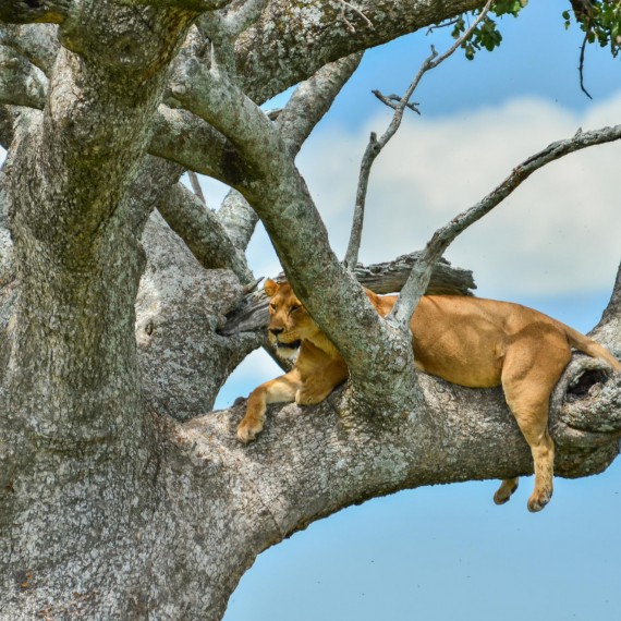Číhat na vás budou všude