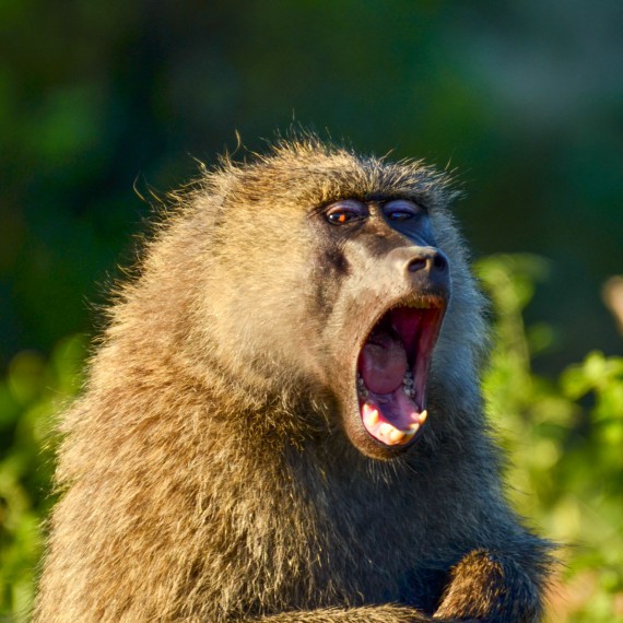 Připravte si fotoaparáty