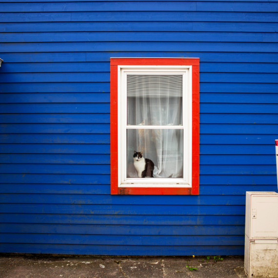 Ihned francouzský šarm ve všem.