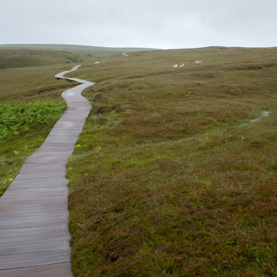 Čeká nás velká věc – cesta na nejsevernější bod Británie. Toto je stezka po které budeme kráčet k útesům.