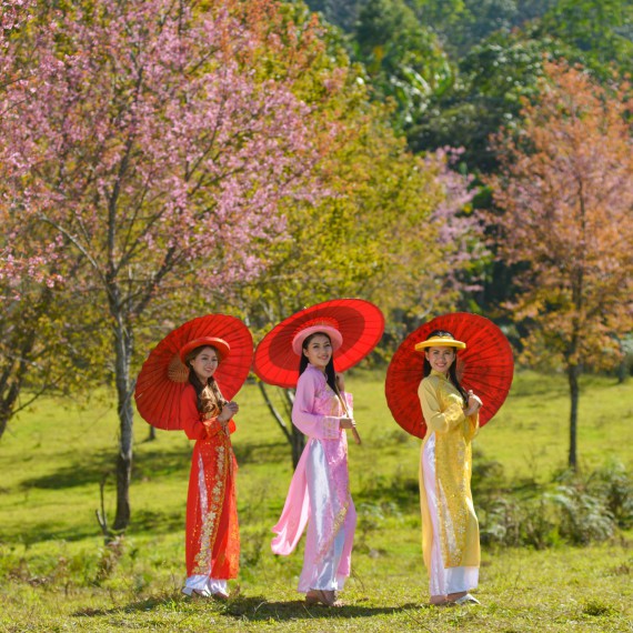 Tradiční vietnamská kultura 