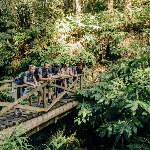 Takto bude vypadat turistika v Azorské džungli