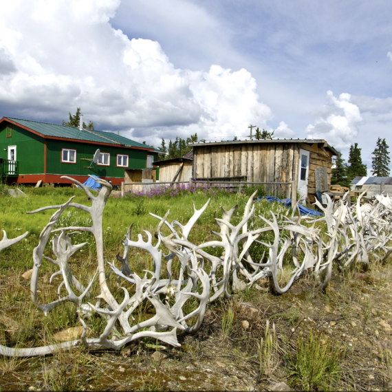 I takové ploty mají místní u domu