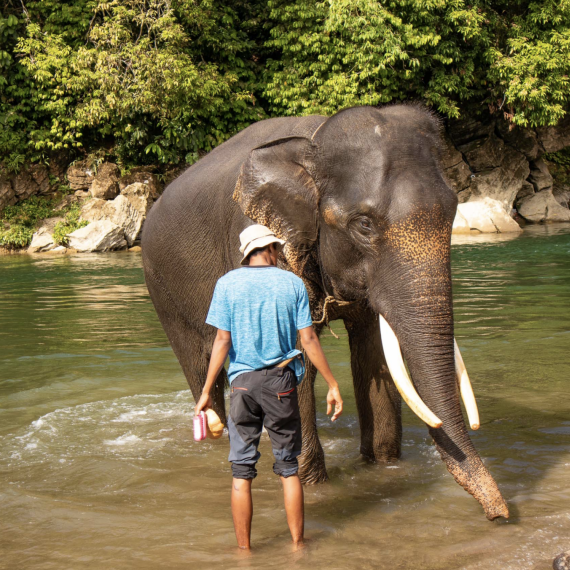 Život místních žijících v džungli na Sumatře 