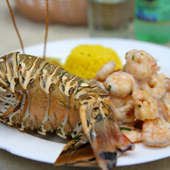 Těšit se můžete na plody moře