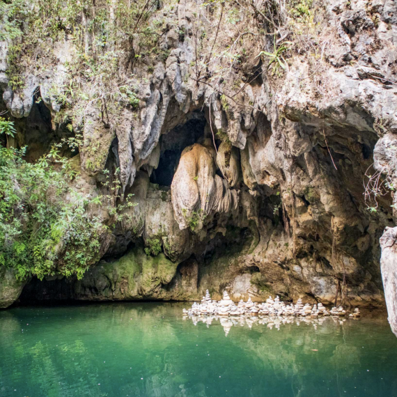 Příroda kubánské džungle