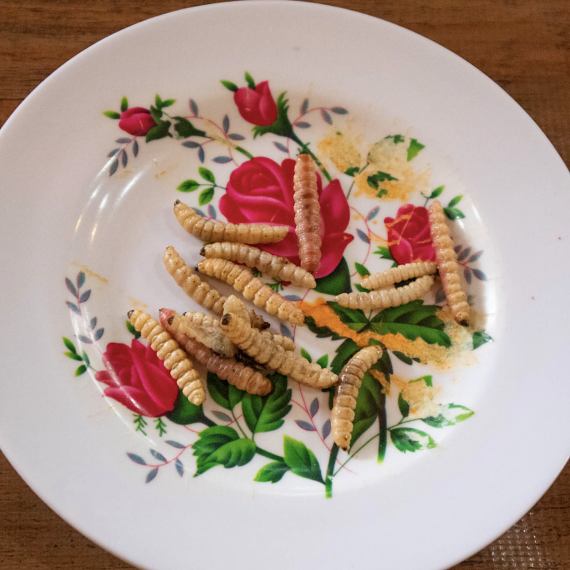 Netradiční mexické speciality 