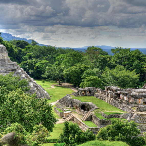 Pyramidy Palenque ukryté v mexické džungli