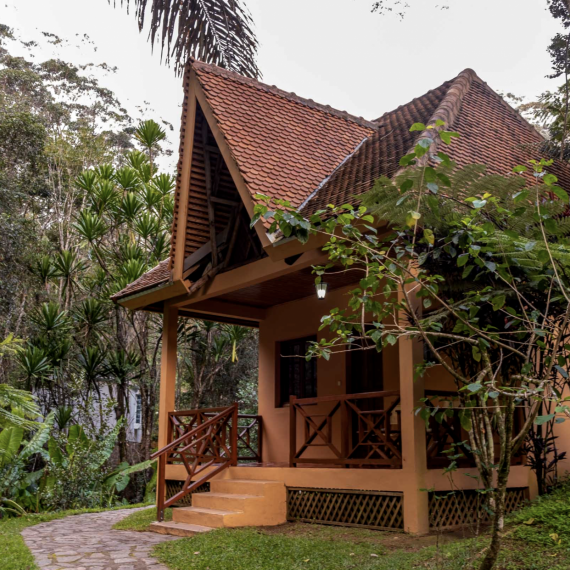 Čeká Vás ubytování uprostřed lesa