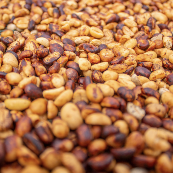 Region prvotřídní kávy