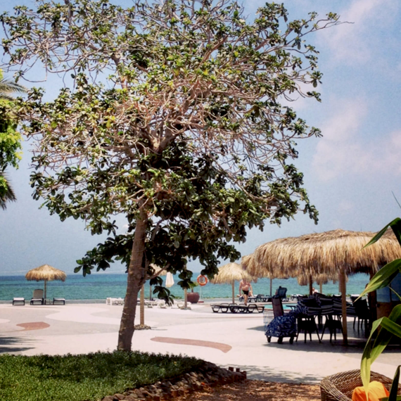 Ubytování na břehu zálivu Tadjoura