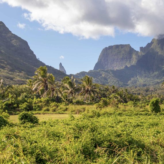 Vezmeme Vás na ostrov Moorea