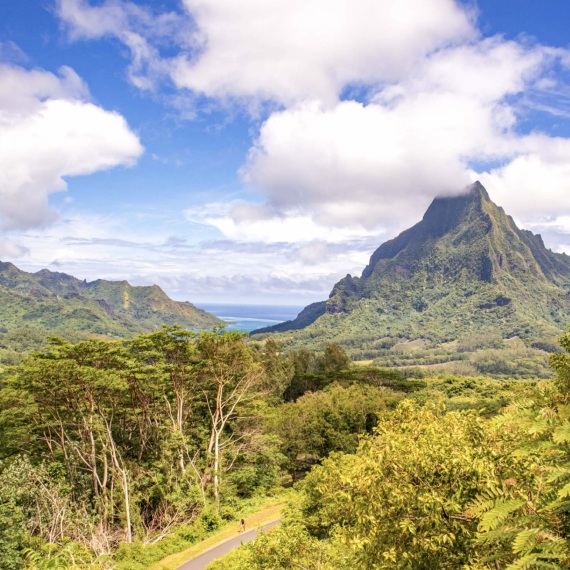 Z vyhlídky Belvedere uvidíte na Cookovu zátoku a na zátoku Opunohu