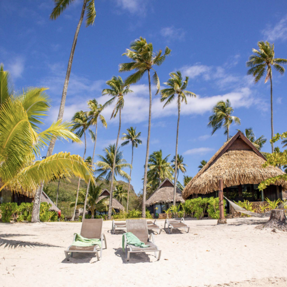 Do Vašeho hotelu se dostanete skrz ananasové plantáže