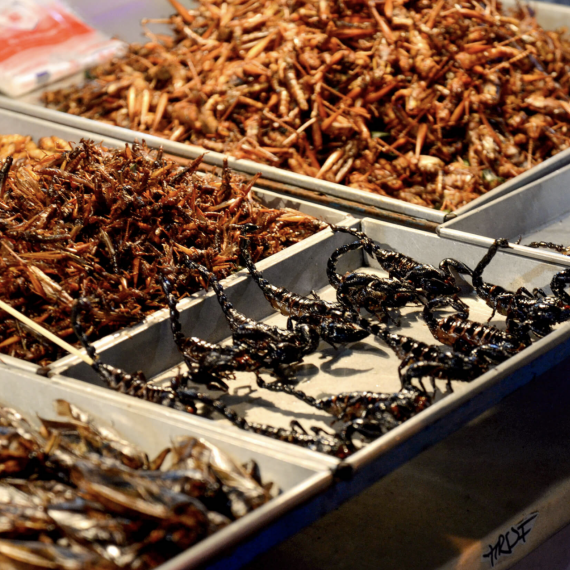 Street food v ulici Khao San