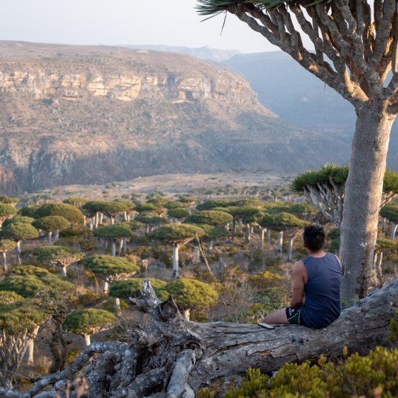 Nespoutaná příroda, která si žiji svým endemickým životem