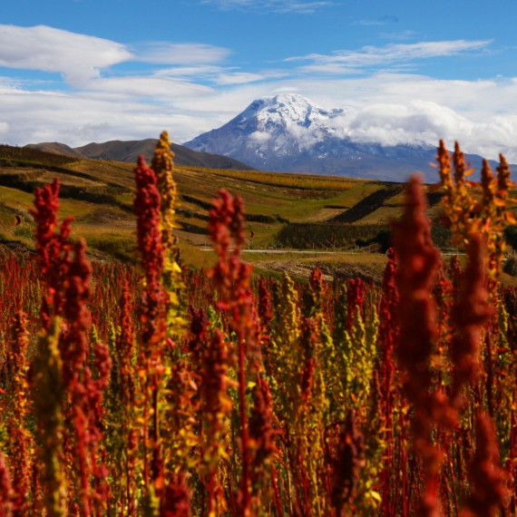 Andy zasahují do států Venezuela, Ekvádor, Kolumbie, Peru, Argentina a Chile
