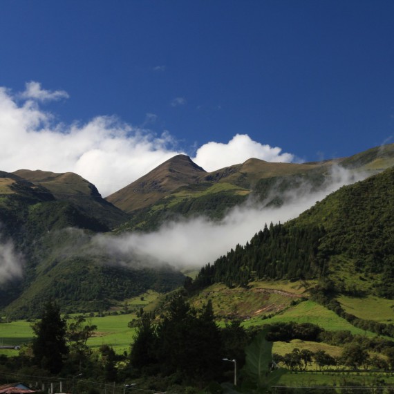 Příroda, do které se dostaneme hned po příletu je  v okolí Village of Nono neuvěřitelně bujná a zelená