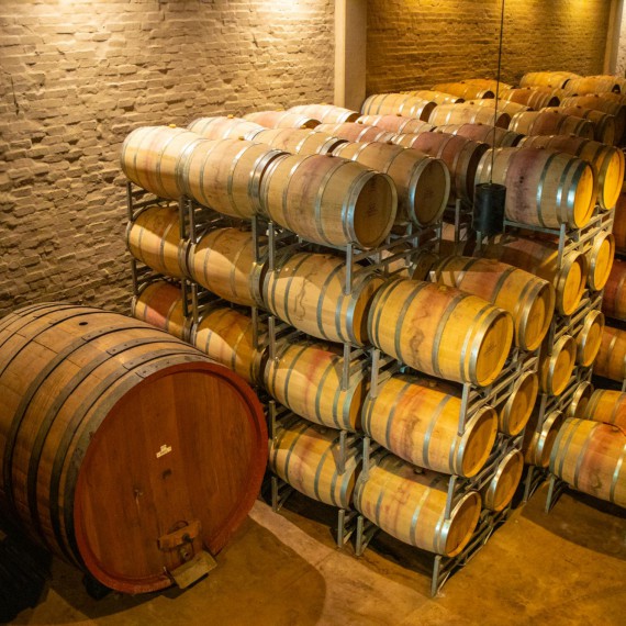 Návštěva nejstaršího jihoafrického vinařství 