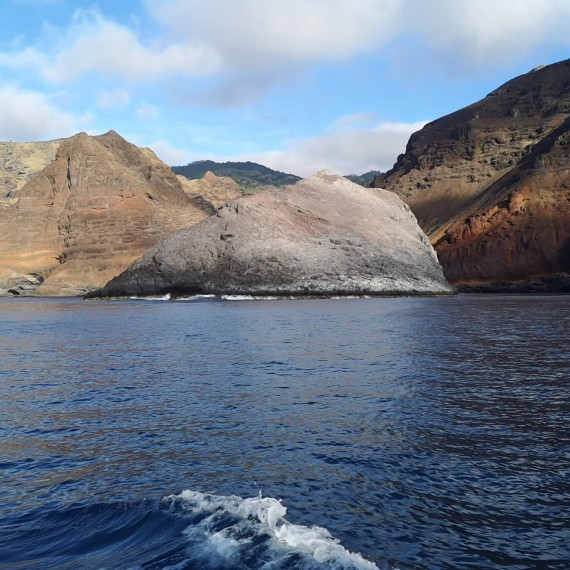 V hlavní sezoně se zde můžete potápět se žralokem velrybím