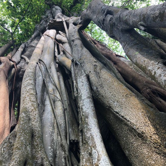 Uvidíte fascinující přírodu