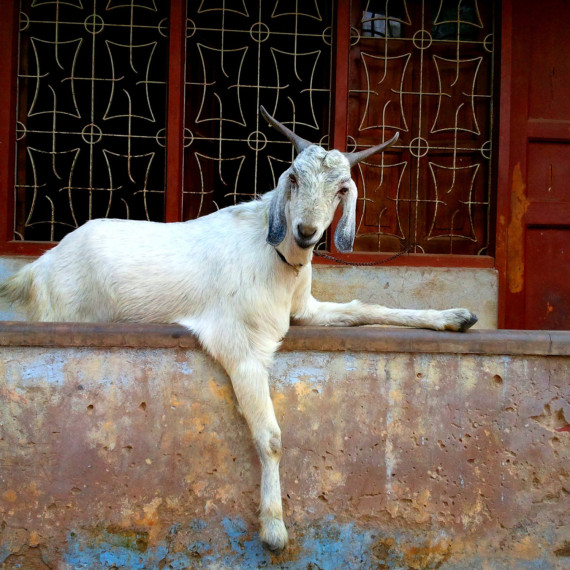 Oddech v centru města. Trošku si vyhodila z kopýtka.