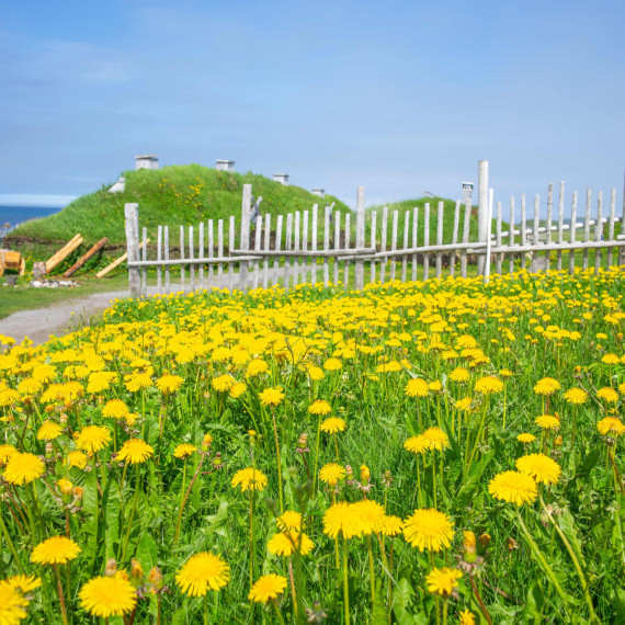 Za objevitele Ameriky je obecně považován Kryštof Kolumbus.